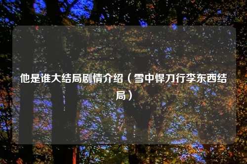 他是谁大结局剧情介绍（雪中悍刀行李东西结局）