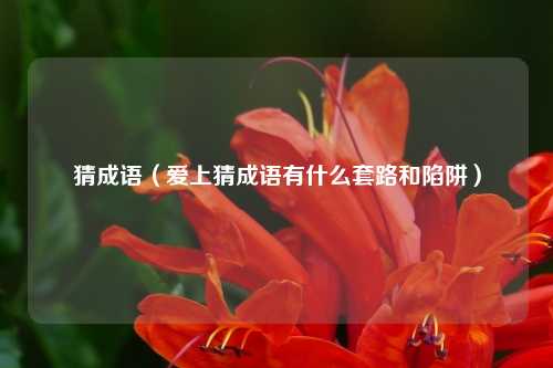 猜成语（爱上猜成语有什么套路和陷阱）