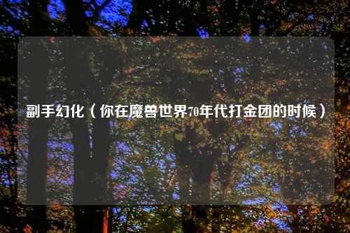副手幻化（你在魔兽世界70年代打金团的时候）