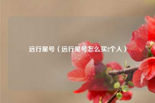 远行星号(远行星号怎么买2个人)