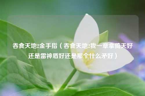 吞食天地2金手指（吞食天地2我一章拿倚天好还是雷神盾好还是那个什么矛好）