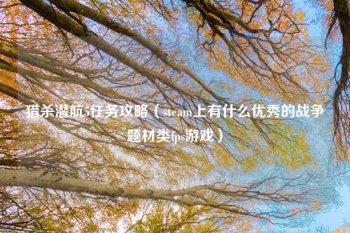 猎杀潜航5任务攻略（steam上有什么优秀的战争题材类fps游戏）