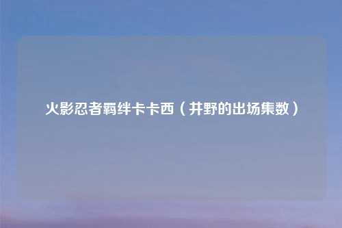 火影忍者羁绊卡卡西（井野的出场集数）