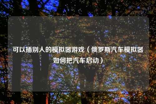 可以插别人的模拟器游戏（俄罗斯汽车模拟器如何把汽车启动）