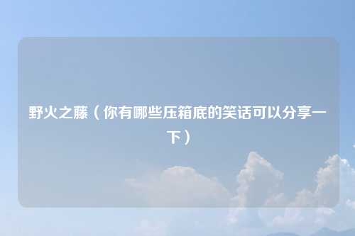 野火之藤(你有哪些压箱底的笑话可以分享一下)