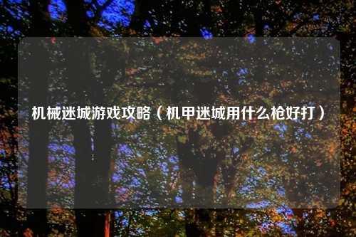 机械迷城游戏攻略（机甲迷城用什么枪好打）