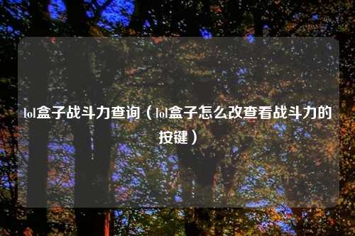 lol盒子战斗力查询(lol盒子怎么改查看战斗力的按键)