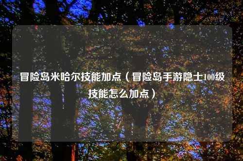 冒险岛米哈尔技能加点（冒险岛手游隐士100级技能怎么加点）