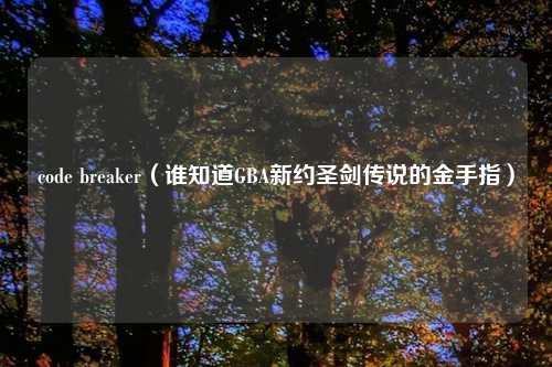 code breaker(谁知道GBA新约圣剑传说的金手指)