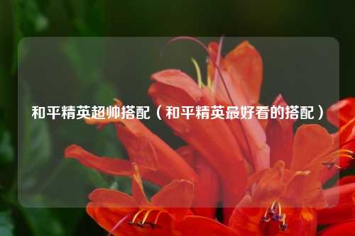 和平精英超帅搭配（和平精英最好看的搭配）