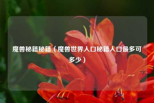 魔兽秘籍秘籍（魔兽世界人口秘籍人口最多可多少）