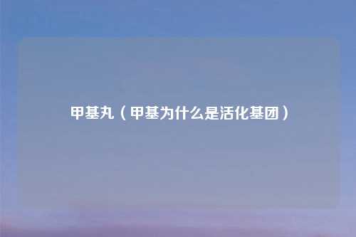 甲基丸(甲基为什么是活化基团)
