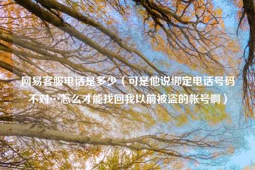 网易客服电话是多少（可是他说绑定电话号码不对…怎么才能找回我以前被盗的帐号啊）