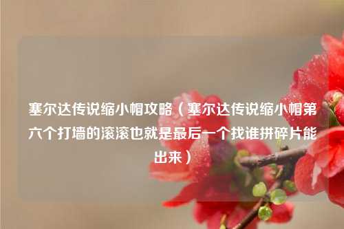 塞尔达传说缩小帽攻略（塞尔达传说缩小帽第六个打墙的滚滚也就是最后一个找谁拼碎片能出来）