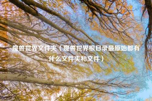 魔兽世界文件夹（魔兽世界根目录最原始都有什么文件夹和文件）