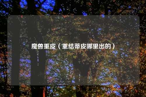 魔兽重皮（重结蒂皮哪里出的）