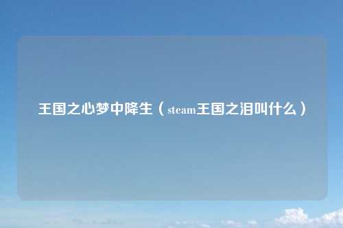 王国之心梦中降生（steam王国之泪叫什么）