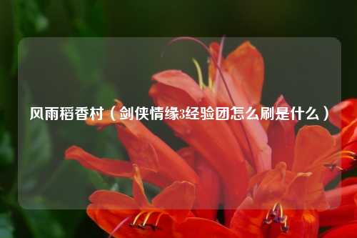 风雨稻香村（剑侠情缘3经验团怎么刷是什么）