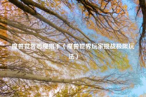 魔兽世界恶魔猎手（魔兽世界玩家挑战极限玩法）