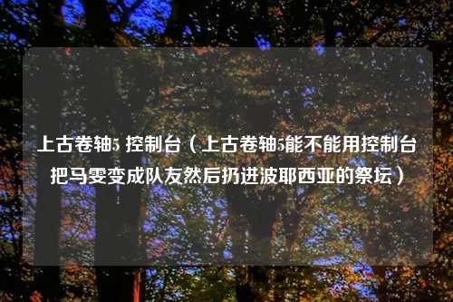 上古卷轴5 控制台（上古卷轴5能不能用控制台把马雯变成队友然后扔进波耶西亚的祭坛）