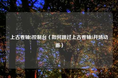 上古卷轴5控制台（如何跳过上古卷轴5开场动画）