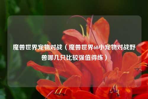 魔兽世界宠物对战（魔兽世界60小宠物对战野兽哪几只比较强值得练）