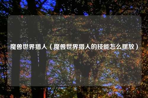 魔兽世界猎人（魔兽世界猎人的技能怎么摆放）