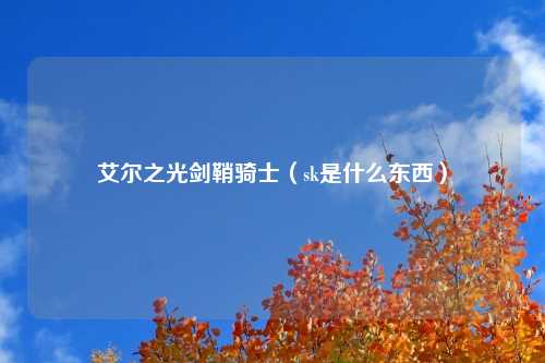 艾尔之光剑鞘骑士（sk是什么东西）