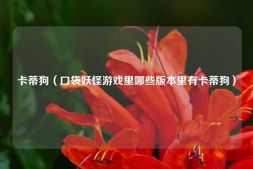 卡蒂狗（口袋妖怪游戏里哪些版本里有卡蒂狗）