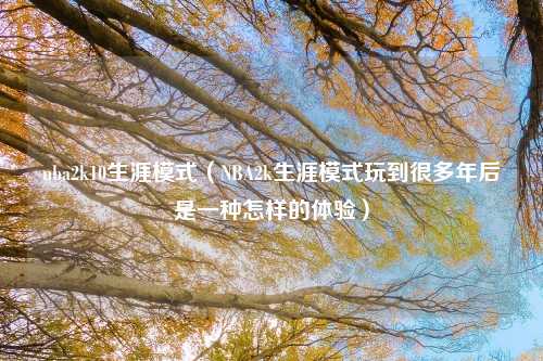 nba2k10生涯模式(NBA2k生涯模式玩到很多年后是一种怎样的体验)