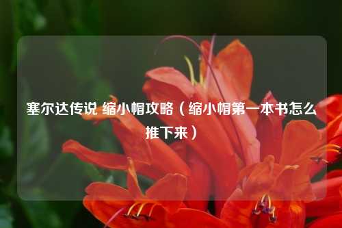 塞尔达传说 缩小帽攻略（缩小帽第一本书怎么推下来）