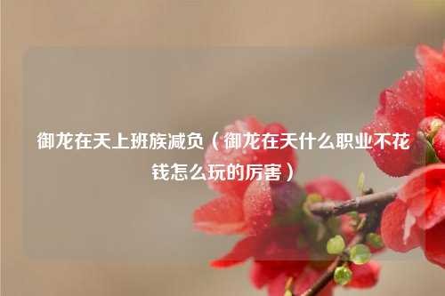 御龙在天上班族减负（御龙在天什么职业不花钱怎么玩的厉害）