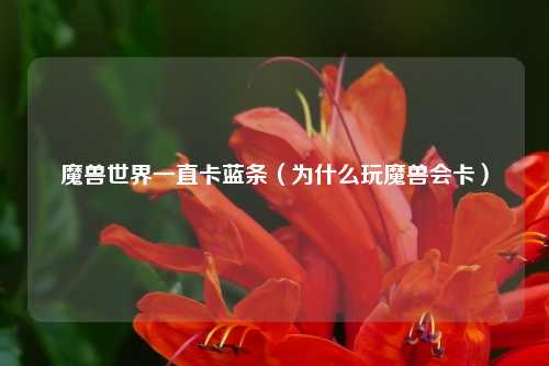 魔兽世界一直卡蓝条（为什么玩魔兽会卡）