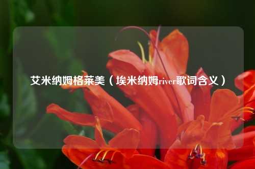 艾米纳姆格莱美(埃米纳姆river歌词含义)