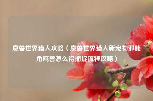 魔兽世界猎人攻略（魔兽世界猎人新宠物邪能角鹰兽怎么得捕捉流程攻略）