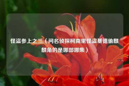 怪盗参上之三（问名侦探柯南里怪盗基德偷麒麟角的是哪部哪集）