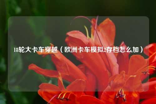 18轮大卡车穿越（欧洲卡车模拟2存档怎么加）