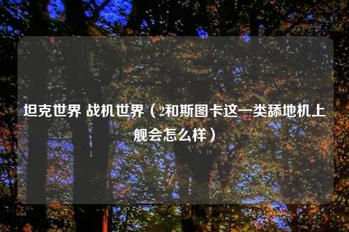 坦克世界 战机世界（2和斯图卡这一类舔地机上舰会怎么样）