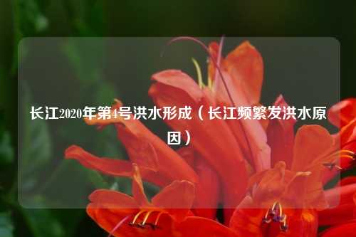 长江2020年第4号洪水形成(长江频繁发洪水原因)