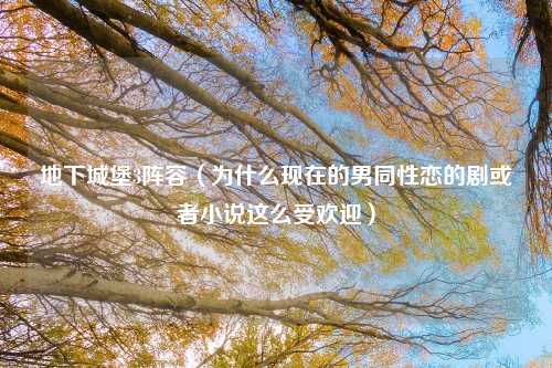 地下城堡3阵容（为什么现在的男同性恋的剧或者小说这么受欢迎）