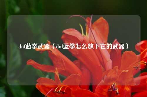 dnf蓝拳武器（dnf蓝拳怎么放下它的武器）