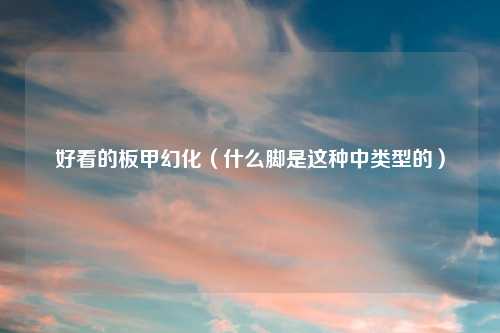 好看的板甲幻化(什么脚是这种中类型的)