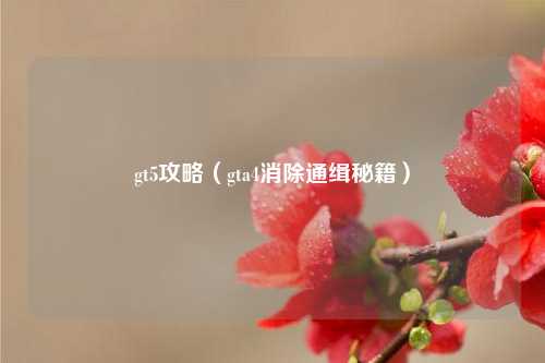 gt5攻略（gta4消除通缉秘籍）