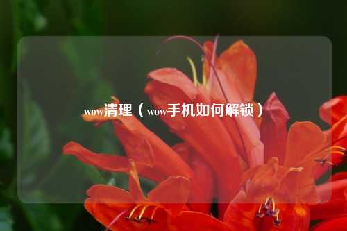 wow清理（wow手机如何解锁）