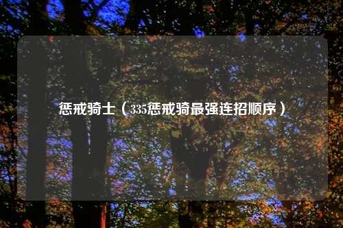 惩戒骑士(335惩戒骑最强连招顺序)