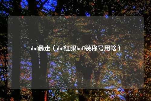 dnf暴走（dnf红眼buff装称号用啥）