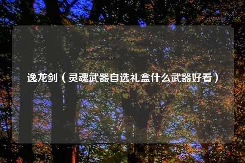 逸龙剑(灵魂武器自选礼盒什么武器好看)