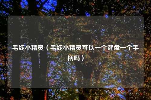 毛线小精灵（毛线小精灵可以一个键盘一个手柄吗）