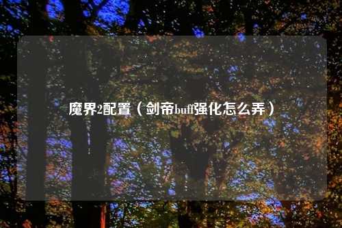 魔界2配置(剑帝buff强化怎么弄)