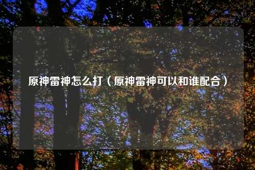 原神雷神怎么打（原神雷神可以和谁配合）